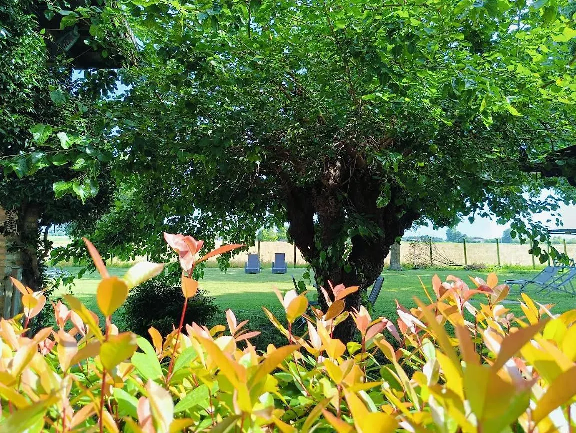 Bed & Breakfast B&B Casa del Bosco San Michele al Tagliamento